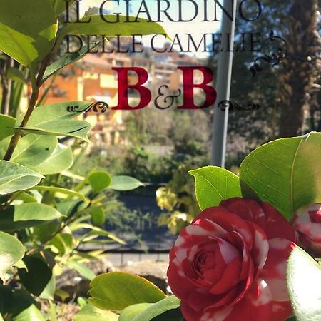 باليسترينا B&B Il Giardino Delle Camelie المظهر الخارجي الصورة