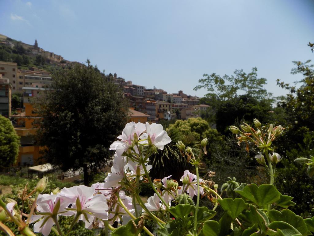 باليسترينا B&B Il Giardino Delle Camelie المظهر الخارجي الصورة