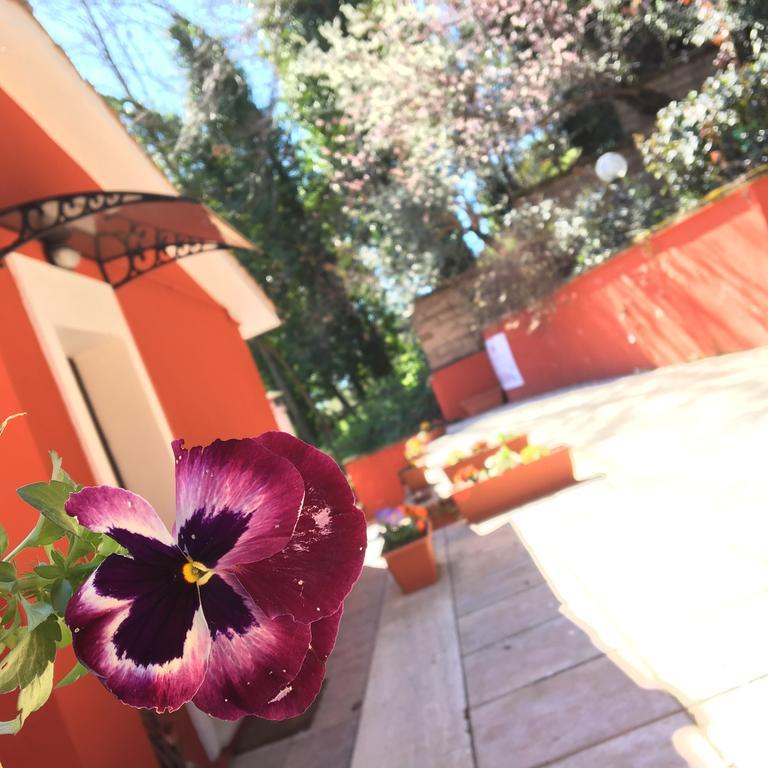 باليسترينا B&B Il Giardino Delle Camelie المظهر الخارجي الصورة