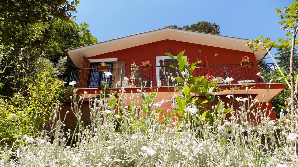 باليسترينا B&B Il Giardino Delle Camelie المظهر الخارجي الصورة